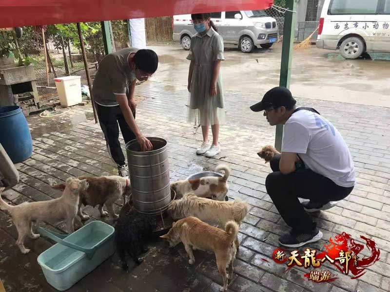 图7：陕西同城会给狗子们做饭咯