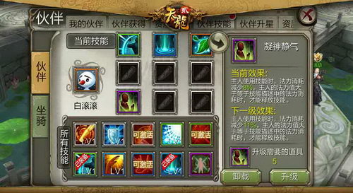 随队打手强力伙伴 