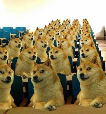 鸡人太阳大象猜一成语_一张大象图猜16种动物(3)